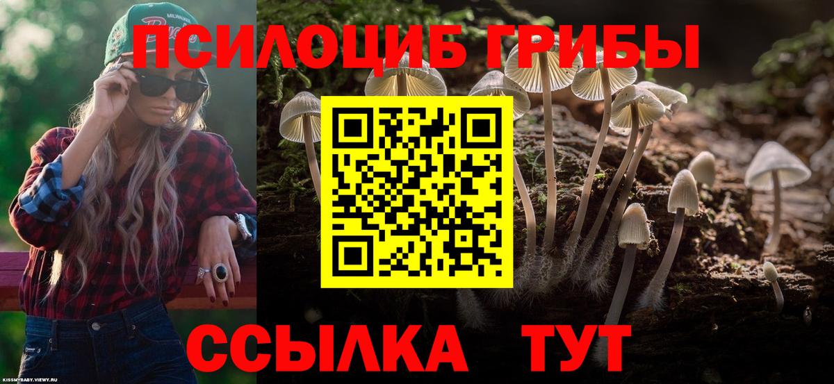 Псилоцибиновые грибы Magic Shrooms  Вход с VPN  Можайск 